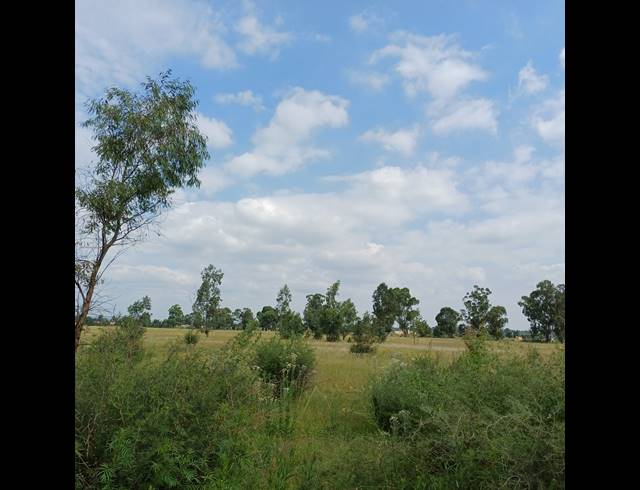 87,023M² VACANT LAND FOR SALE IN OPHIR AH